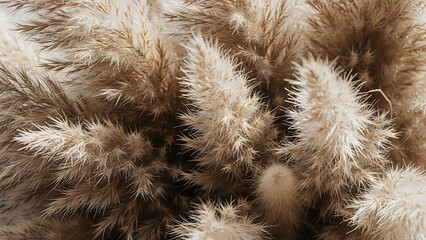 Fluffy Dried Flower Arrangement Close-up with Tactile Natural Texture for Boho Home Decor