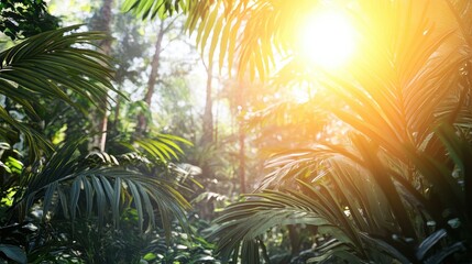 A vibrant and lush green forest ecosystem bathed in bright sunlight with dense foliage and tall trees creating a natural canopy