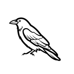 Obraz premium crow on a branch