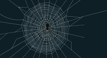 Fototapeta premium Black spider sitting in the center of a large intricate white web against a dark background representing nature and arachnid behavior.