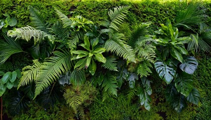 lush green wall with vibrant ferns moss and varied plant textures use as a natural backdrop representing growth sustainability and freshness
