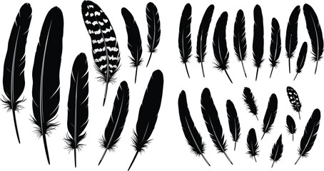 Collection of black bird feather silhouettes and detailed quill plumes, featuring various wing feathers and decorative artistic sketches for nature and graphic design projects © MdNur
