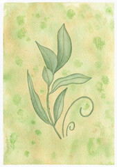 Watercolor branch with green leaves, watercolor branch illustration