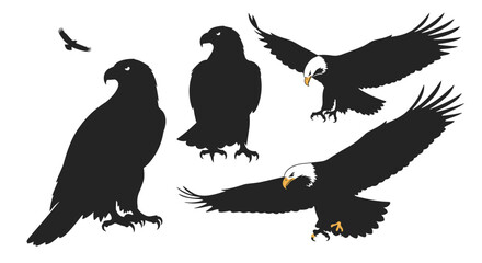 Set of eagle and bald eagle silhouettes in various poses, including standing, flying, and landing, on a white background.