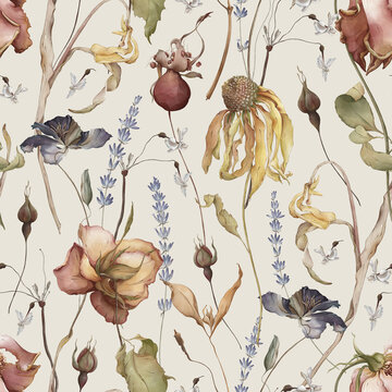 Hand-painted watercolor floral seamless pattern created in Procreate. Delicate botanical illustration featuring dried flowers on beige background. Soft natural textures, artistic 