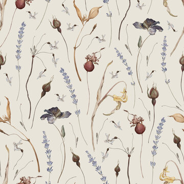 Hand-painted watercolor floral seamless pattern created in Procreate. Delicate botanical illustration featuring dried flowers on Cream background. Soft natural textures, artistic 