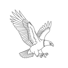 Obraz premium eagle vector illustration isolated