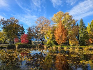 Obraz premium Autumn Pond with Colorful Trees