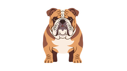 Illustration of a brindle and white English Bulldog with a stern expression on a white background