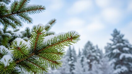 A close-up of a snow-covered pine branch with a delicate crystal snowflake against a blurred winter forest background.