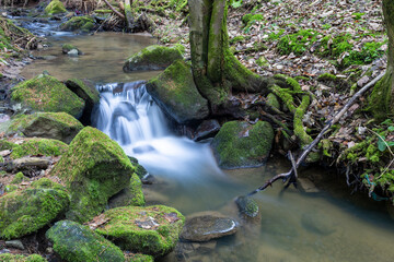 A small waterfall gracefully cascades over moss-covered rocks, positioned near a tree, capturing a serene scene in the Highland region of the Czech Republic, with the forest floor covered in leaves.