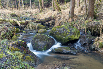 A tranquil scene of a gently flowing stream cascading over moss-covered rocks in a forest environment, highlighting the natural beauty of the landscape in Highland, Czech Republic.