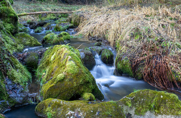 A serene stream flows through moss-covered rocks in the Highland region of the Czech Republic, featuring long exposure to blur the waters movement.