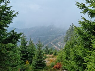 Sky Bridge 721 pedestrian suspension bridge in Doln&iacute; Morava, hanging 95 meters above the valley, disappearing into mist above green forest. Symbol of courage, space, and modern tourism.