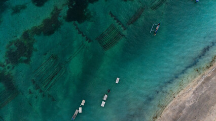 Vast expanses of sea farmers' seaweed plots look quite extensive when viewed from a drone on the east side of Sumba Island © HeinrichDengi