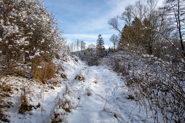 A snow-covered forest path winds through frost-laden trees under a partly cloudy sky in the Highland of the Czech Republic, showcasing a tranquil winter scene.