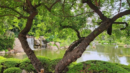 Japanese Style Gardens Phoenix Arizona Rohoen