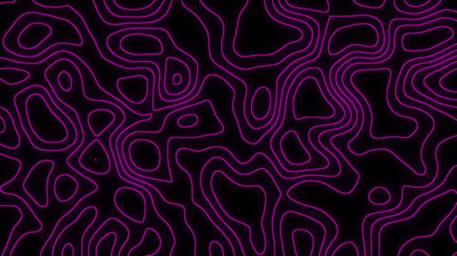 abstract pink geometric grid topographic line contour map black background, futuristic animated wavy lines waveforms backdrop pattern seamless loop video, dynamic topography polygon angular clip