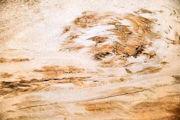 Highly detailed wood texture. Light brown pastel color