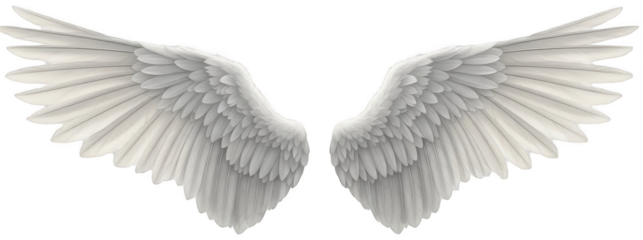 Intricate, detailed, and realistically rendered white feathered wings with a layered structure and subtle shading, gracefully spread outwards in a symmetrical, isolated on transparent background.