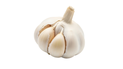 A fresh, whole garlic bulb with cloves