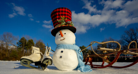 Snowman for winter card. Cute snowman in snow winter. Funny snowman with scarf and hat. Winter...