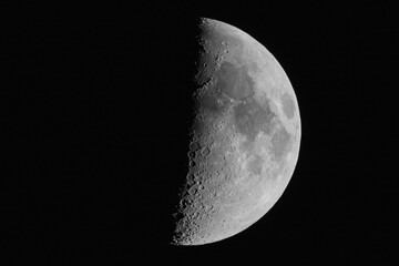 Half Moon with Detailed Craters Isolated on Black Night Sky © AdobeTim82
