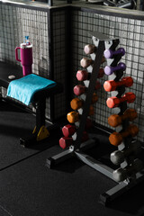 Small Dumbbells on Rack with Blue Towel and Pink Thermos Photo
