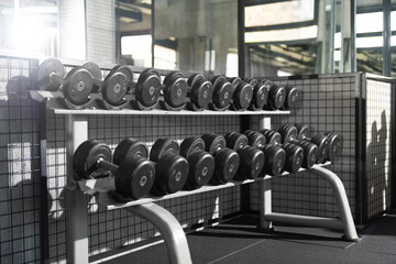 Dumbbells Neatly Arranged on Gym Rack Photo