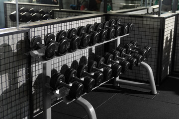 Dumbbells Neatly Arranged on Gym Rack Photo