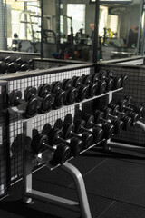 Dumbbells Neatly Arranged on Gym Rack Photo