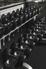 Dumbbells Neatly Arranged on Gym Rack Photo