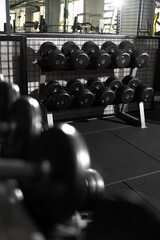 Dumbbells Neatly Arranged on Gym Rack Photo