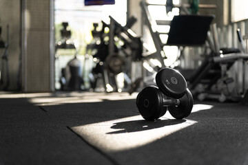 Close Up Stacked 5kg Dumbbells in Dappled Sunlight
