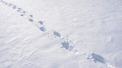 Step forward in frosty trail. Snowy step on outdoor path. Steps marks in snowy forest. Footsteps...