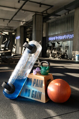 No Pain No Gain Step Box with Weights and Water Ball Photo