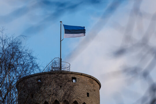 Estonian Flag Flying Above Pikk Hermann Tower in Tallinn