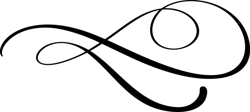 Vintage vector swirl line style divider flourish. Filigree calligraphy ornamental curls. Decorative retro design element for menu, certificate diploma, wedding outline invitation text card,