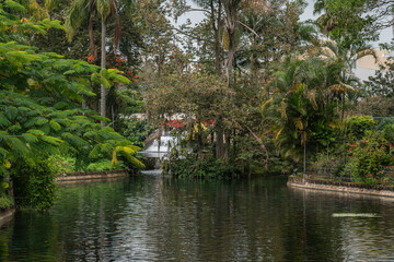 Naklejka premium Tranquil Waterway with Small Waterfall in the Lush Gardens of Lagos de las Animas, Xalapa, Veracruz, Mexico