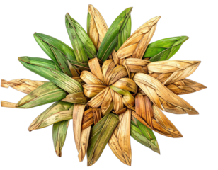 Close-up of intricately woven sunburst, natural green and tan, flat lay on black