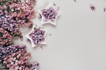 Lilac flowers on grey pastel background in star-shaped ceramics bowls. Flat lay style. Place for your text.