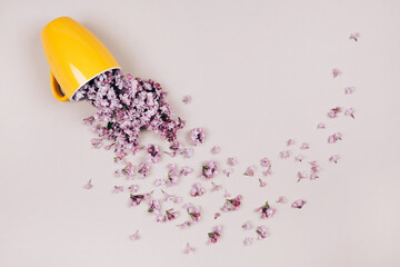 Yellow cup with lilac flowers, pouring out of it.