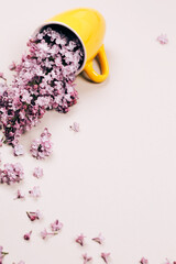 Yellow cup with lilac flowers, pouring out of it.