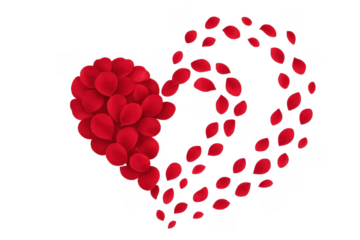 Red rose petals forming heart shape on transparent background