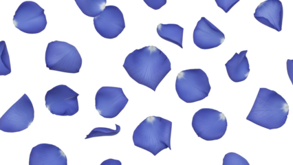 Numerous realistically rendered, slightly crumpled, blue-purple petal shapes, exhibiting a subtle gradient and a smooth, almost velvety texture, are scattered, isolated on transparent background.