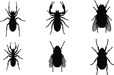 Set of 5 insect silhouettes ant spider scorpion fly and beetle top view