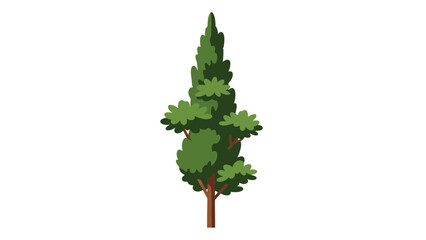 Illustration of a Tall Green Coniferous Tree on White Background © Rohim