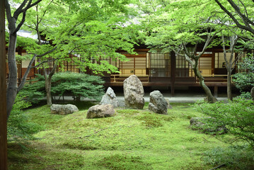 建仁寺　初夏の潮音庭(京都市東山区)