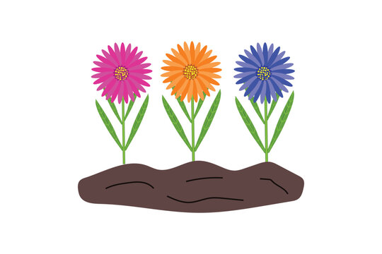 spring flower in a pot,orenge sunflower vector,pinr flower vector,leaf vector.