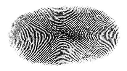 Fingerprint providing biometric identity for security, privacy, and access control, showing unique human identification with transparent background